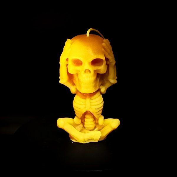 The Skeleton - nichts hören