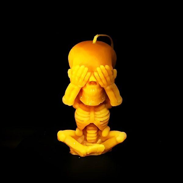 The Skeleton - nichts sehen